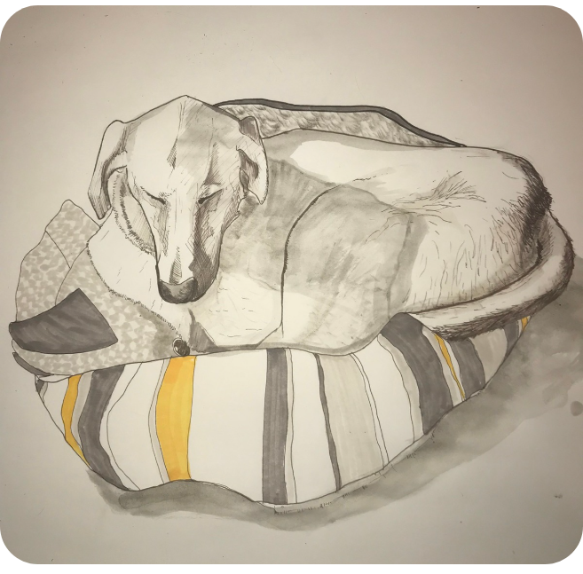 The same dog drawing, cropped to the artwork with softly rounded corners on a white background.